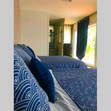 Lilly 2 Piscine Et Jardin Prive 8 Pierry