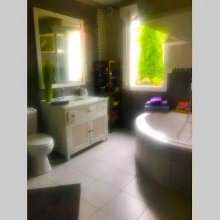 Lilly 2 Piscine Et Jardin Prive 8 Holiday home *