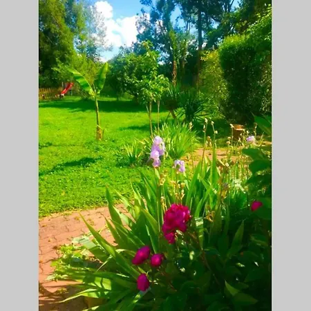 Tatil Evi Lilly 2 Piscine Et Jardin Prive 8 Pierry